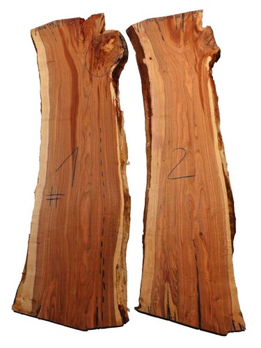 Zwetschge holz pflaume - zwetschge,