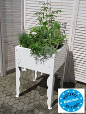 ALU-Hochbeet 60 Blumen oder