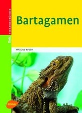 Bartagamen datz - bartagamen, (datz