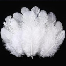 White Craft Feathers 300