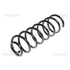 Triscan Feder hinten für VW