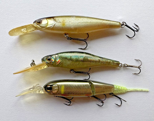 Illex jackall squirrel - squirrel, +