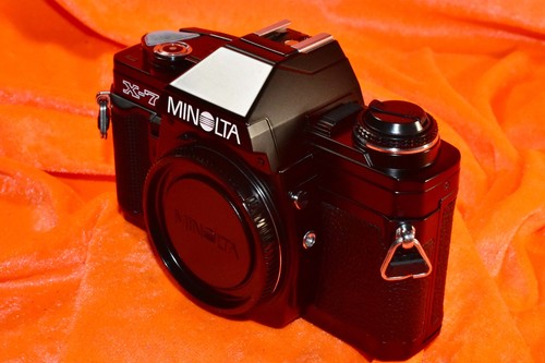 Minolta black body - black, only