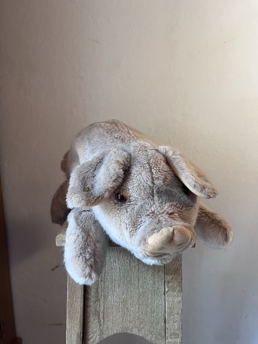 Steiff schwein molly - steiff,