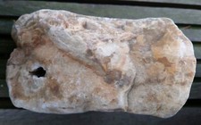  Hühnergott Lochstein 14 cm x 8 cmOstsee Glück Haus Garten Aquarium HochzeitDeko