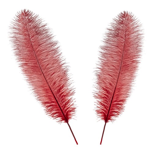 60cm straußenfeder - 50–60cm,