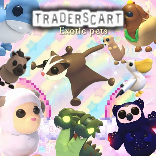 Adopt exotic pets - me,