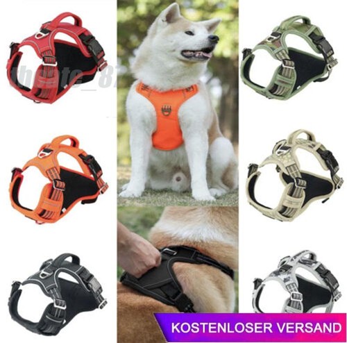 Hundegeschirr pull anti - anti, zug