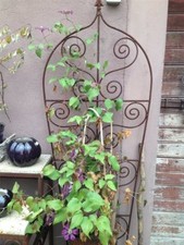Rankwand eisen edelrost - eisen, |