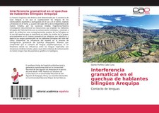 Dante Porfirio Callo Cuno |