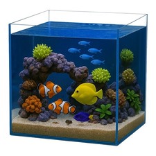 Würfel aquarium 40x40x40 - würfel,