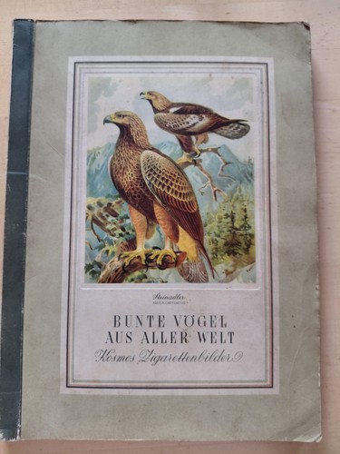 Kosmos bunte vögel - kosmos,
