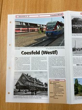 Dr. P. Daniel Hörnemann