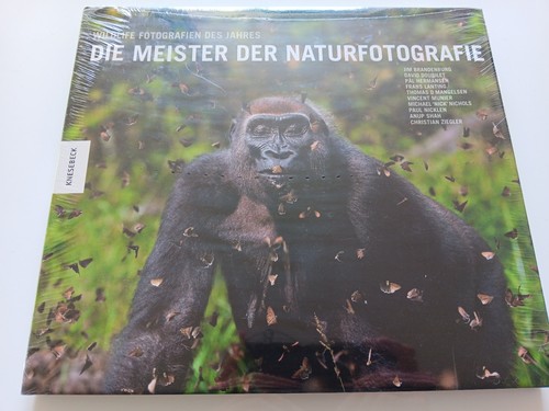 Die meister der - die,