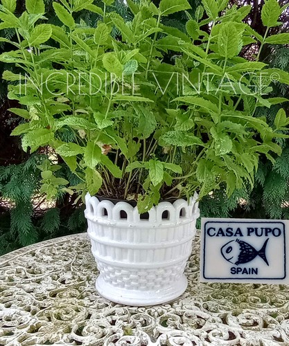 Vintage casa pupo - casa,