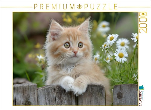 Calvendo puzzle roter kater - calvendo, im