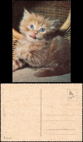 Ansichtskarte tiere katzen - ,