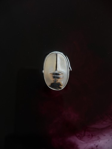 Ring silber 925 dendritenachat - ring,