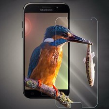 2x Displayschutz Folie