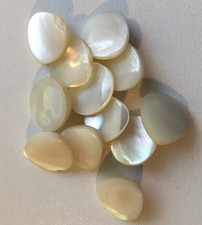 Perlmuttknöpfe: 12 weiße