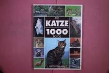 319188 Philippe Coppé DIE