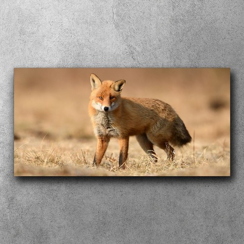 Wandbilder canvas leinwand - wandbilder,