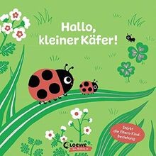 Hallo kleiner käfer - hallo,,