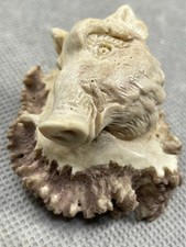 Rarität Hirschhornrose