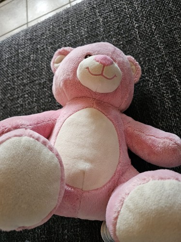 Build bear teddy - a,