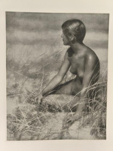 Bruno schultz frauenakt - schultz,