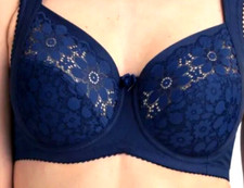 Miss Mary Cotton Bloom BH Mit