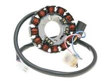 Lichtmaschine Stator 12 Pole