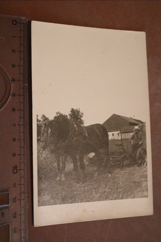Altes foto mann landwirt mit - foto,
