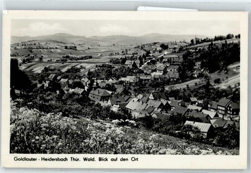 50989965 6051 goldlauter - 6051,