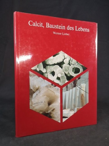Calcit baustein des - baustein, lebens