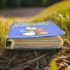 Diddl Maus Sammelalbum Vintage