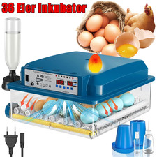 Vollautomatisch Inkubator