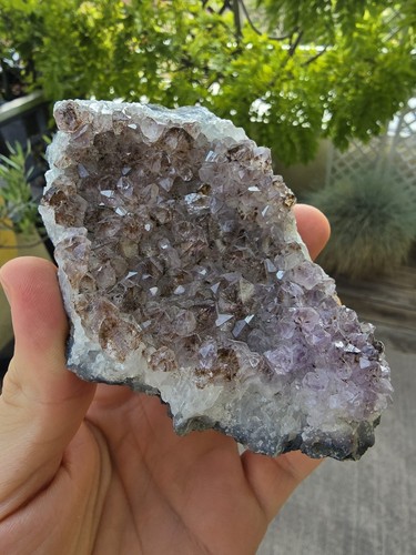 Amethyst mit goethit stufe 307 - stufe,