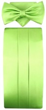 Tigertie kummerbund - tigertie,