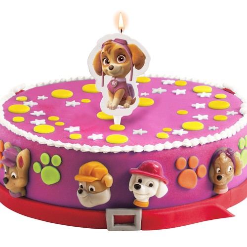 Paw patrol skye - patrol,