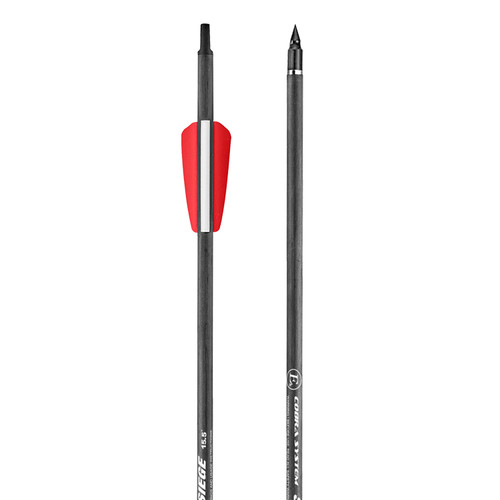 Carbonbolzen für - 6, 15,5"