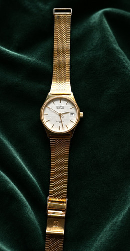 Bwc swiss automatic 30 m - swiss,