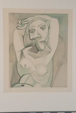 Pablo Picasso Estate