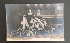 Die Enthüllung Der Bismarck