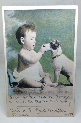 Baby junge streichelt jack - junge,