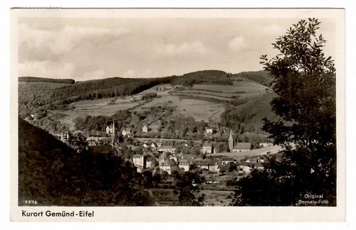 601 gemünd eifel - 601-,
