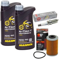 Öl Inspektion Set 2L