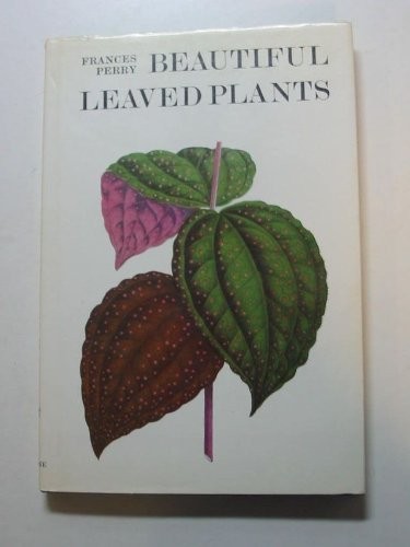 Beautiful leaved plants - plants,