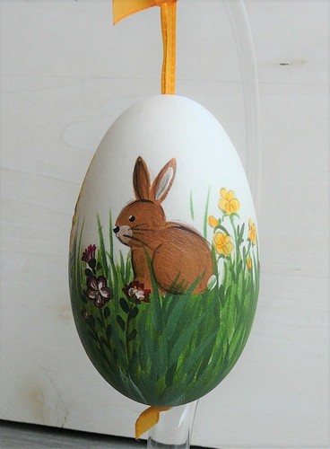 Gänseei hase auf blumenwiese - hase,