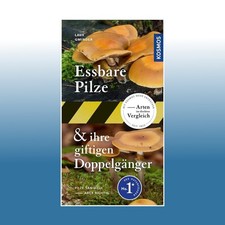 Essbare pilze und ihre - essbare,